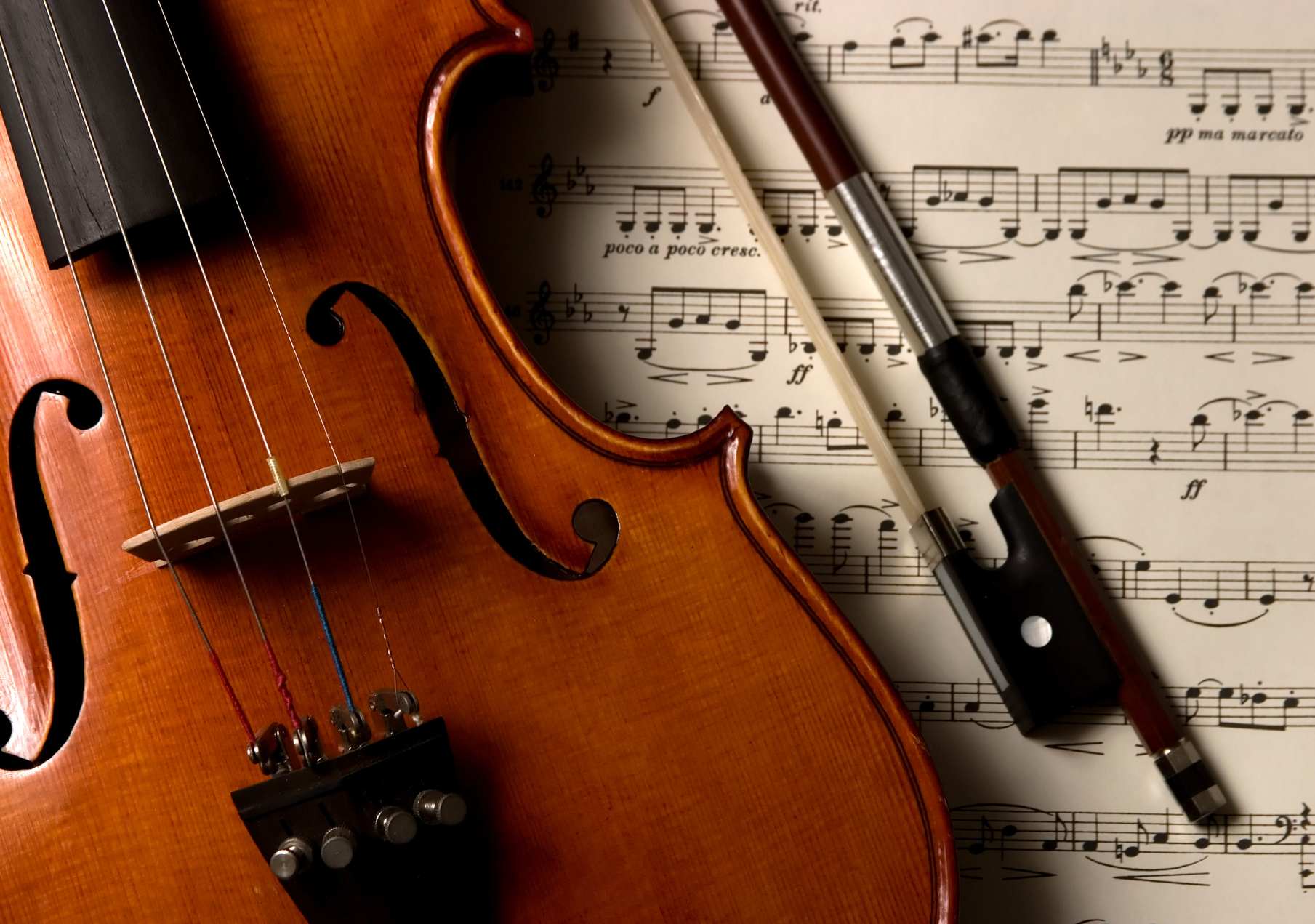 Why consider Playing a Stringed Instrument - Shine Music Rental